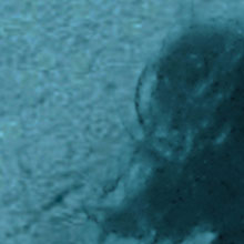 Sistema Cardiovascular