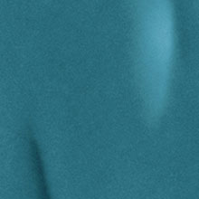 Sistema Cardiovascular