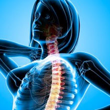 Sistema Neurológico